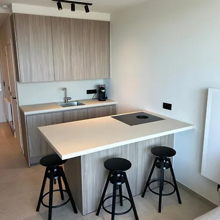Modern 1-slaapkamer In Hartje Nieuwpoort-bad Apartment *